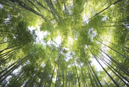 Emprender en el Green Deal europeo