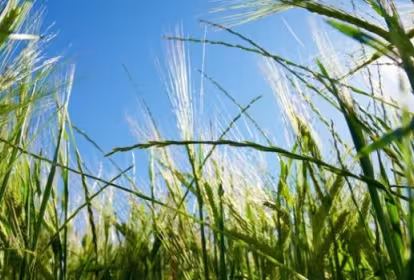 Sodena apoya a MOA Foodtech con un préstamo participativo de 100.000 euros